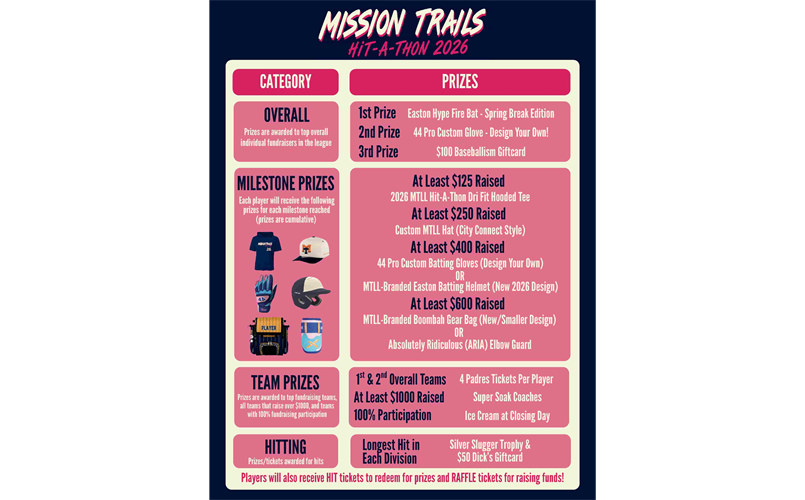 Hit a Thon - Prizes